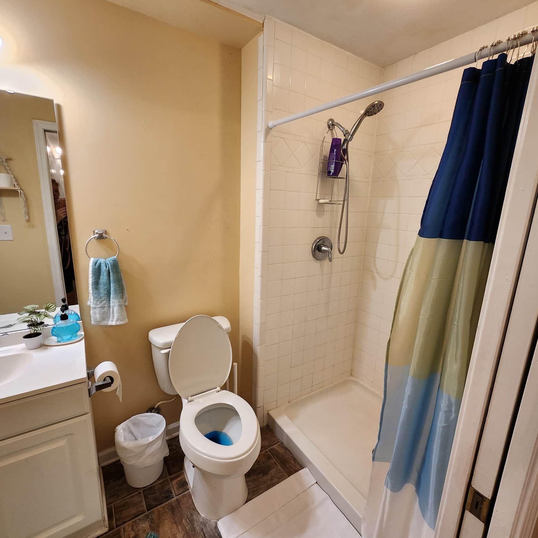 Image Title