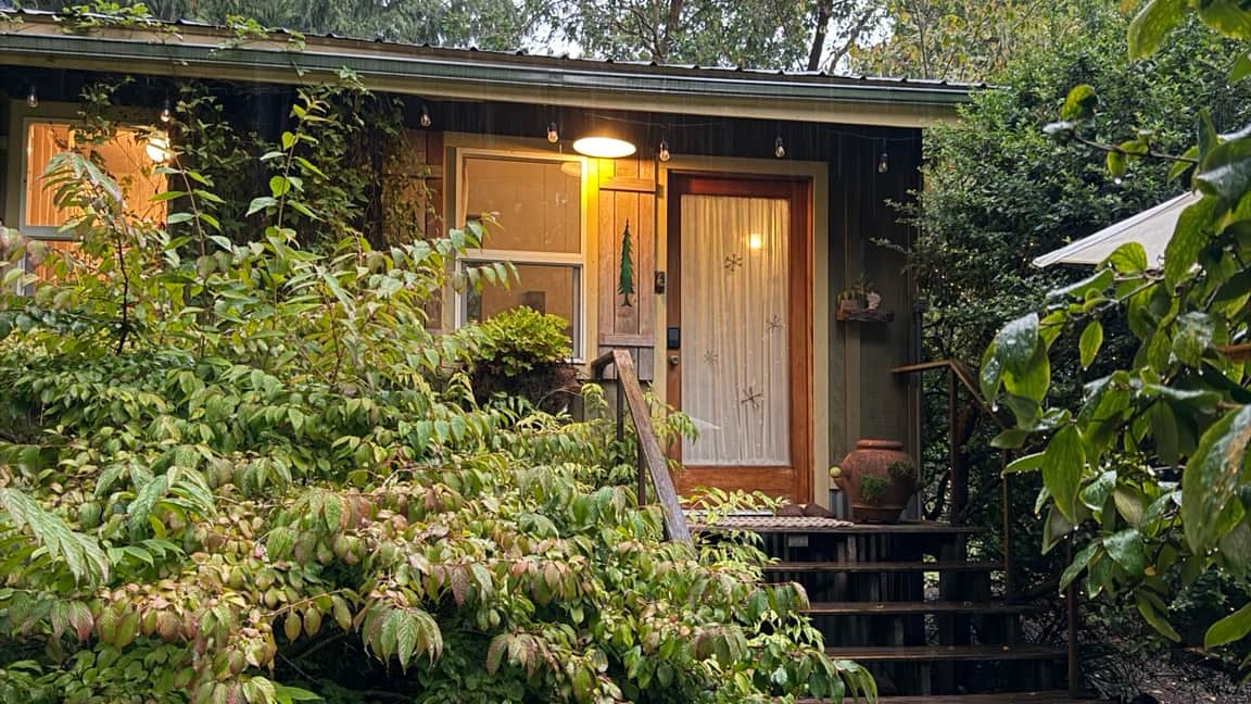 Pine Cone Cabin nestled in the Whidbey Island woods