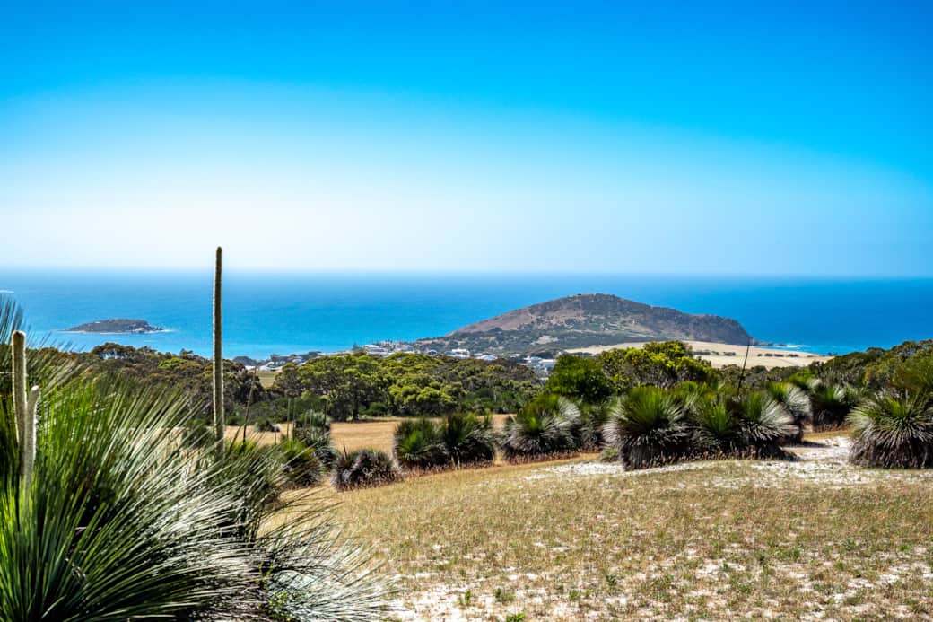 Bluff View Bluff View