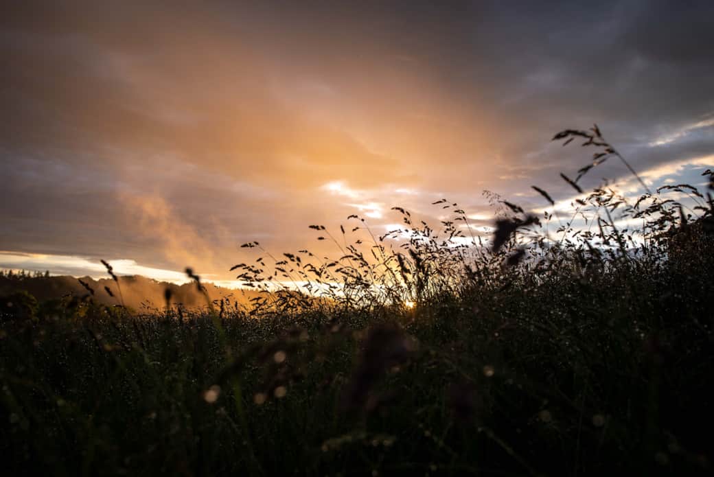 Le coucher de soleil à l'Écrin de Saint Léo