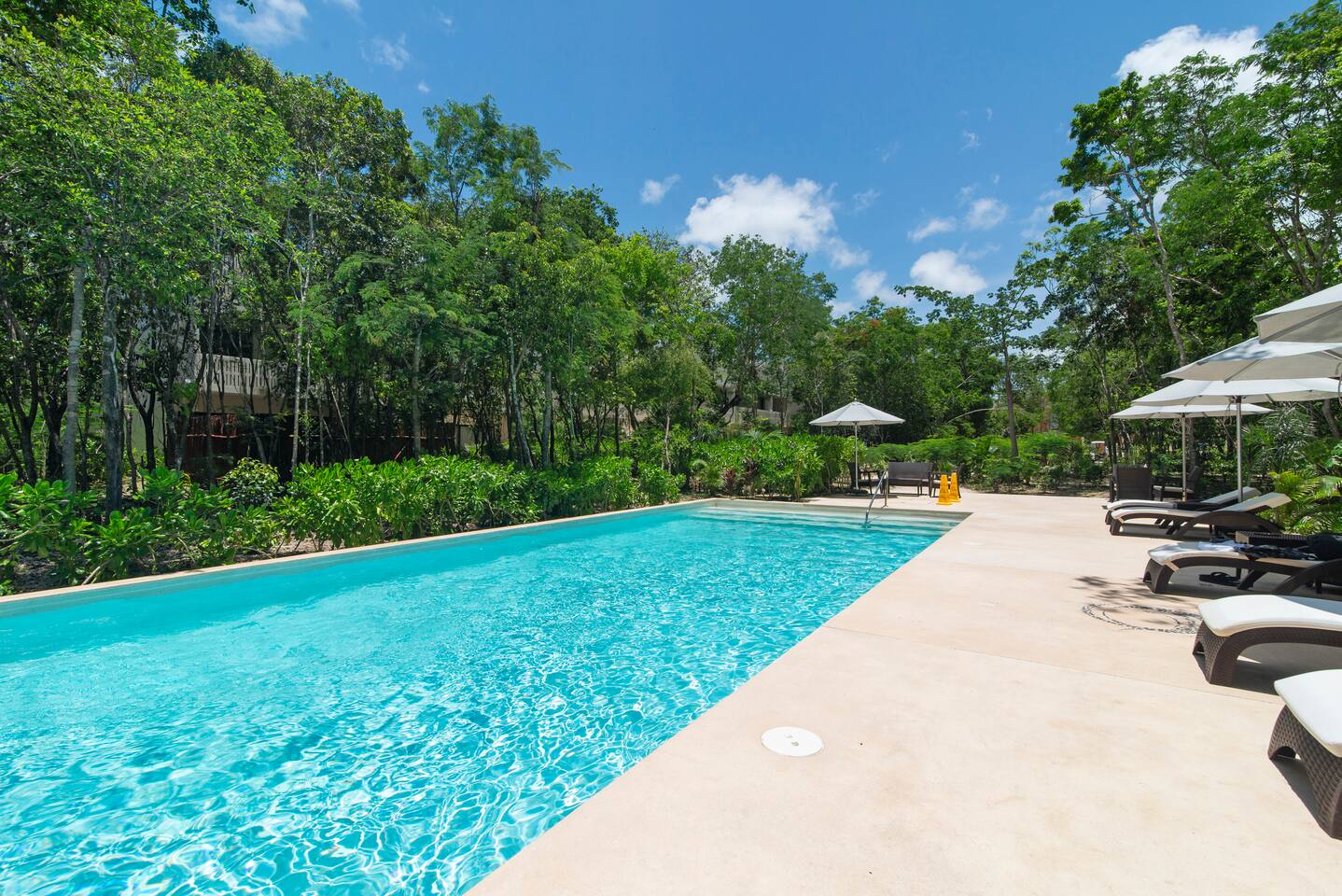 Casa Lush | Pvt Pool | Rooftop | 10 Min to Beach photo 16