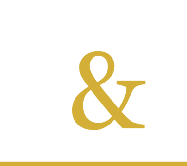 M&P Immosolution OG