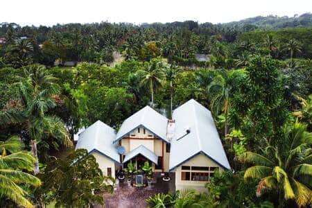 Nestled in a tropical nest Nestled in a tropical nest