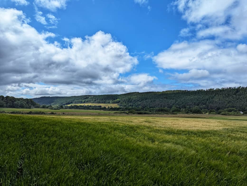 Pluscarden Valley