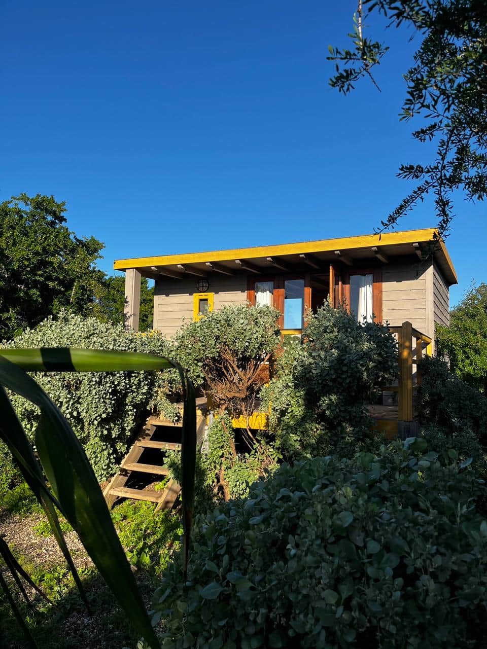 Cabane Jaune Cabane Jaune