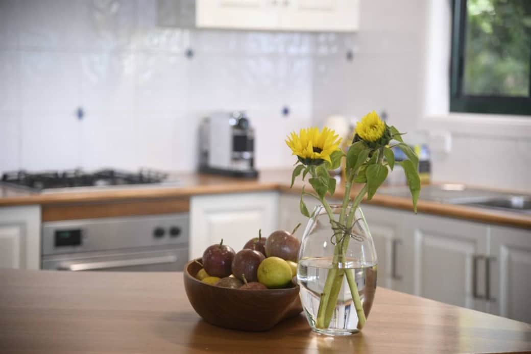 Jungle House - Kitchen - Decor