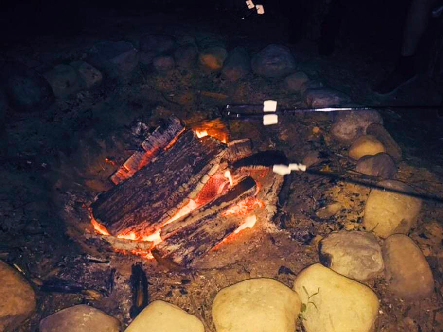 Bonfire area 