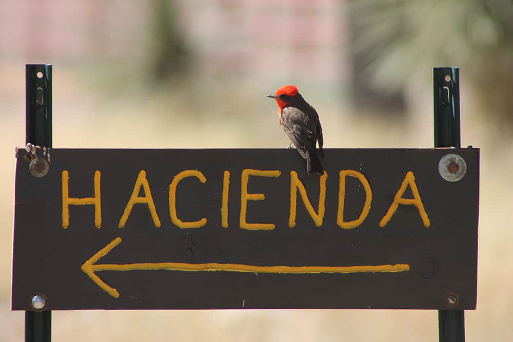 Hacienda cottage sign Hacienda cottage sign