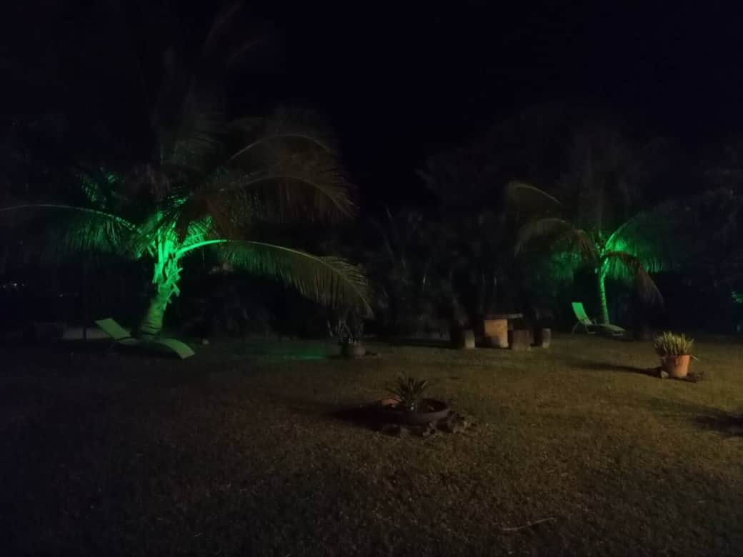 Un jardin  de toute beauté, tout en couleur, même la nuit!