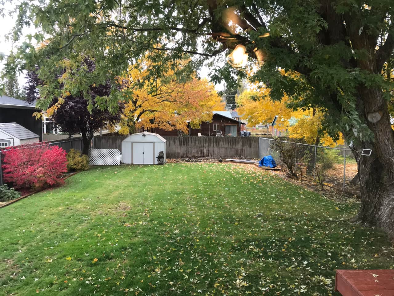 Enjoy a colorful fall