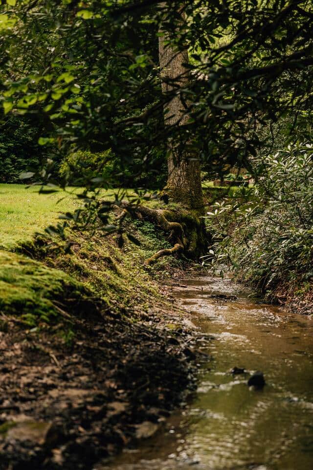 A babbling mountain stream runs the length of the property, providing ambiance, soothing sounds, and spots to cool your feet after a long hike or day of adventuring.