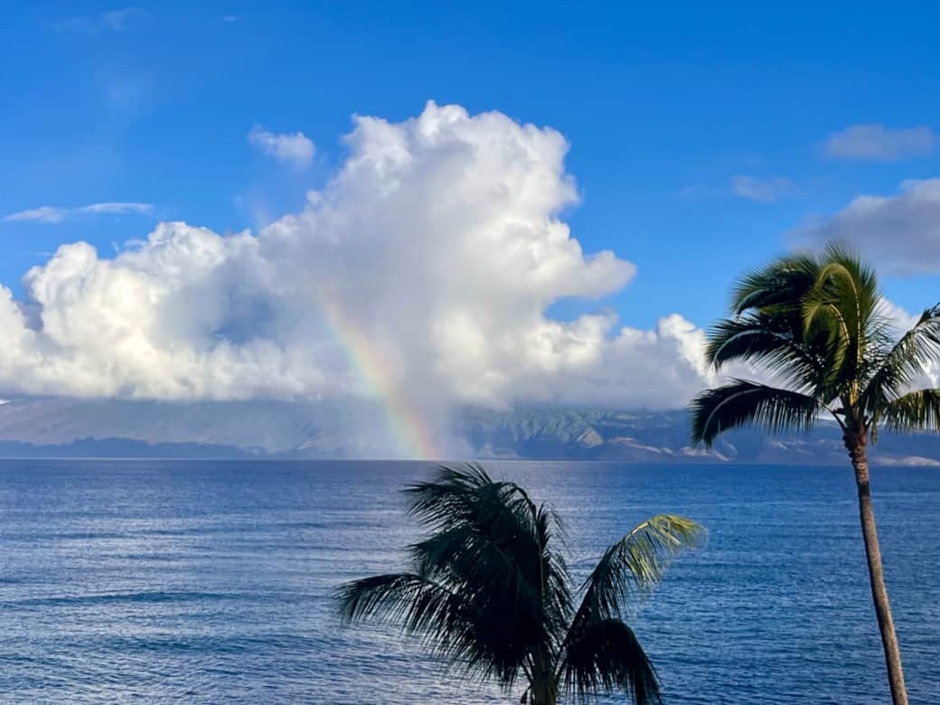 View from lanai 