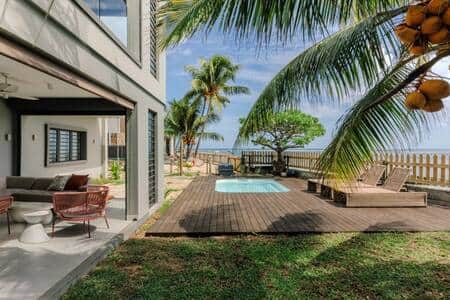 Garden and swimming pool