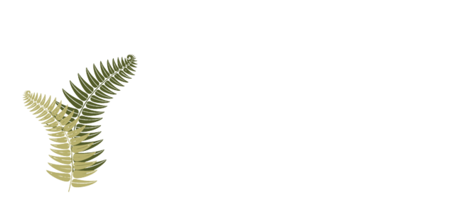 Fernglen Forest Retreat