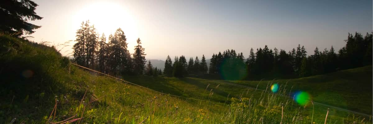 (c) Rhode-kornberg.ch