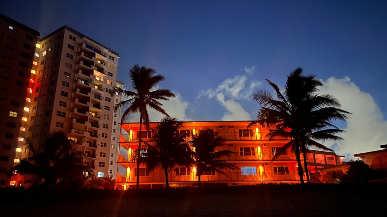 Turtle-friendly lighting.