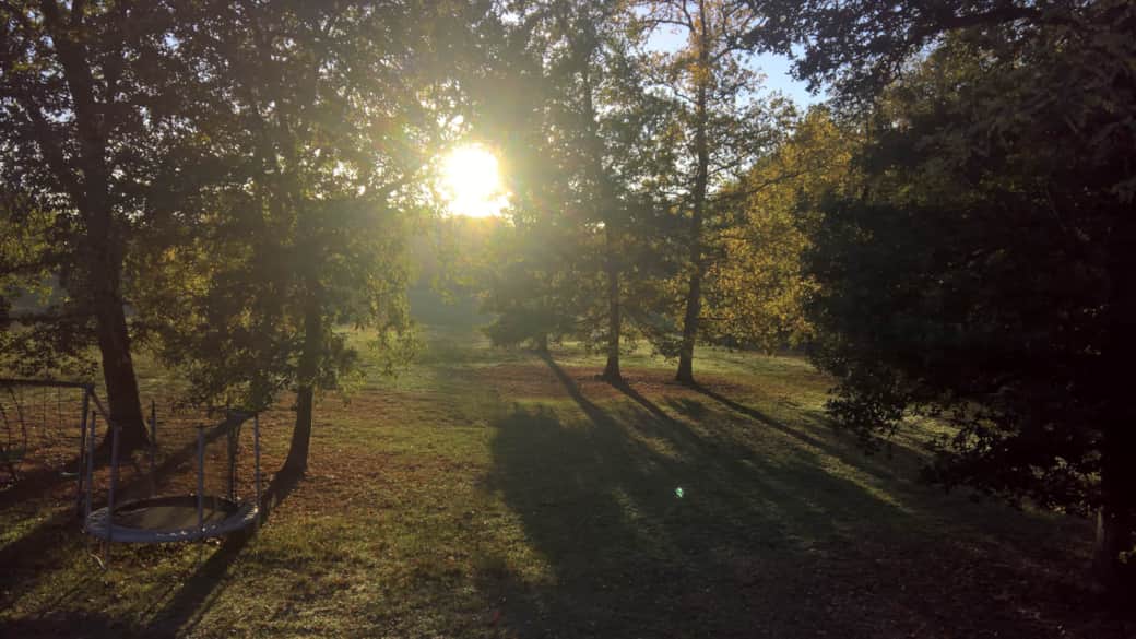 Laroche Garden