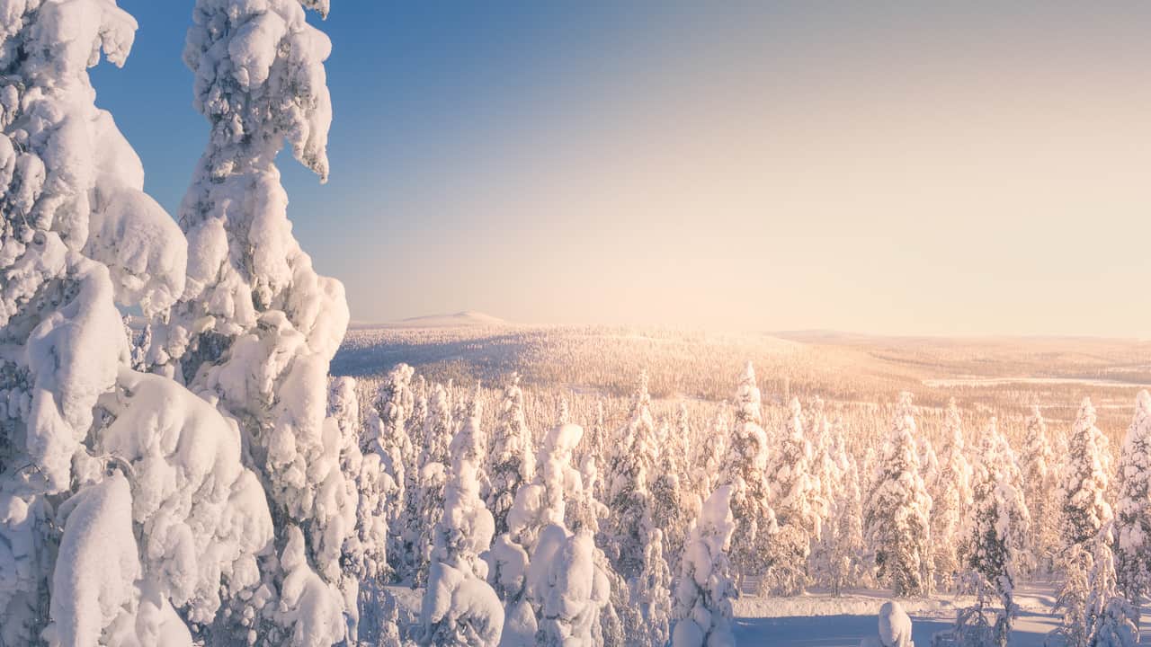 https://l.icdbcdn.com/oh/a896b06b-c11f-4874-ac57-9f56706bca38.jpg?w=2080-0