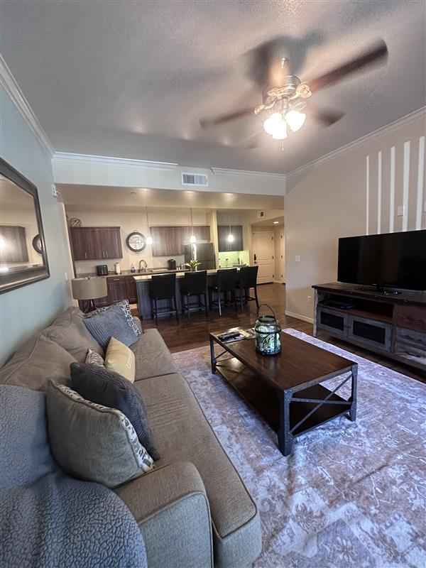 Kitchen and Living Room