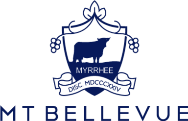 Mt Bellevue