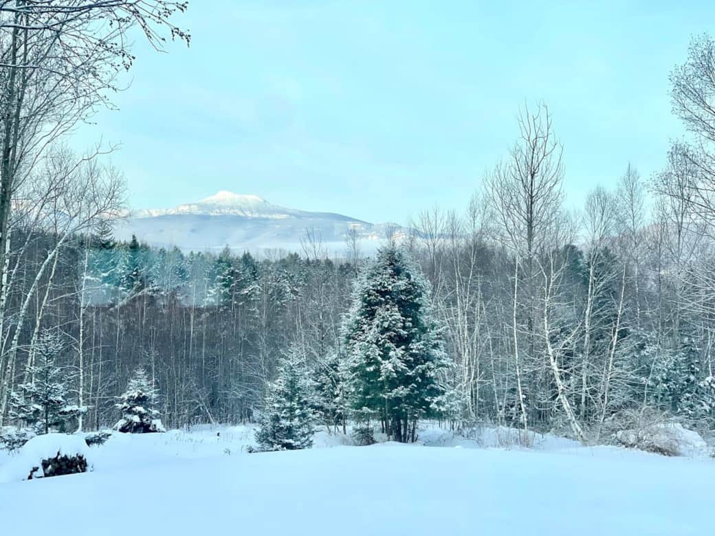 irect Mountain Views: Uninterrupted views of Camel's Hump and the Green Mountains. Nature only 