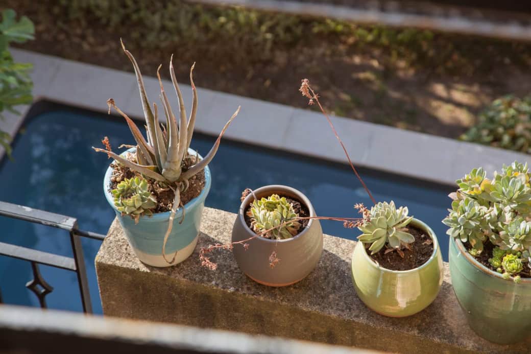 View of the pool from the kitchen terrace.