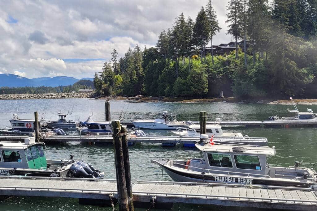 Government Dock looking to Wild Coast Cottages