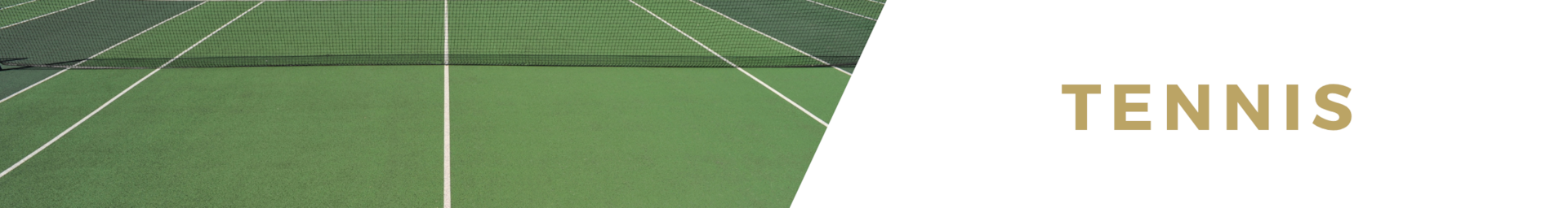 Luxury villa rentals with Tennis court
