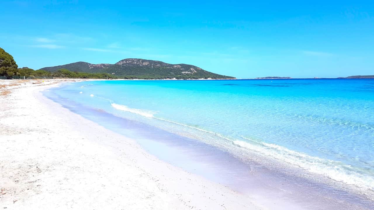 Plage de Palombaggia Tamaricciu à 800m de la location.