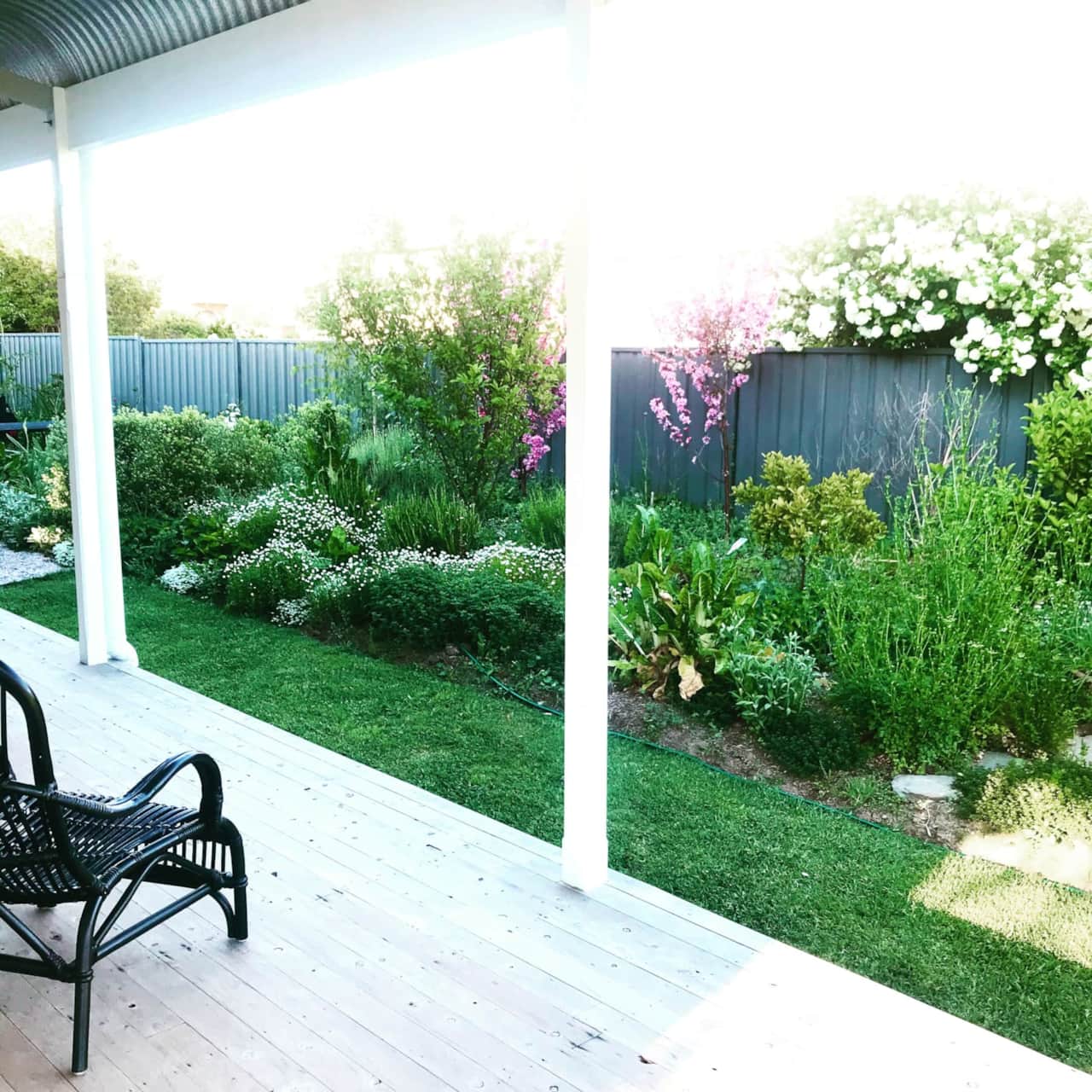 Side garden