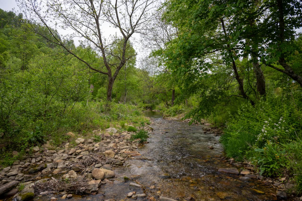 DSC_1016.jpg