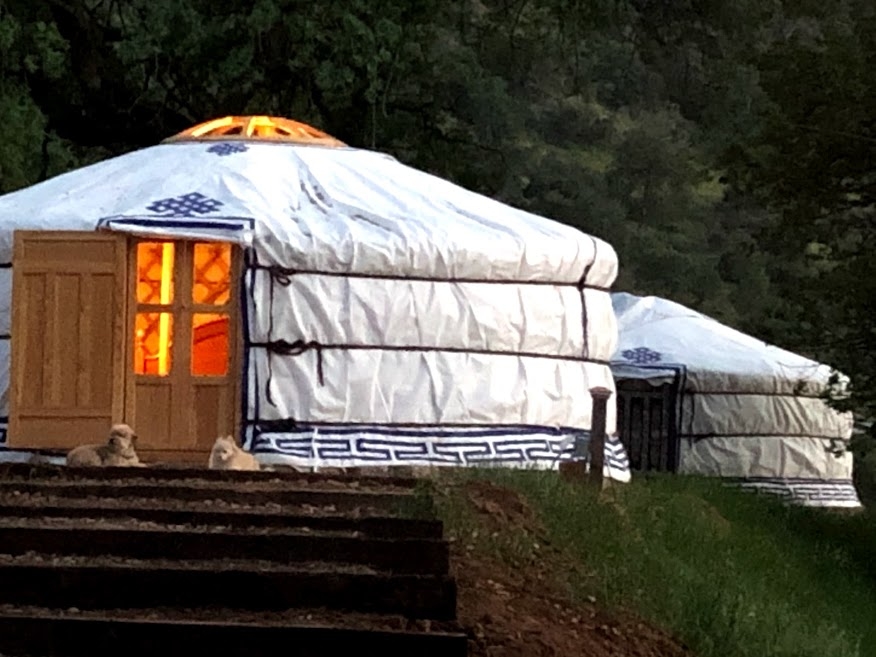 Home- Casablanca Vineyard : Glamping 