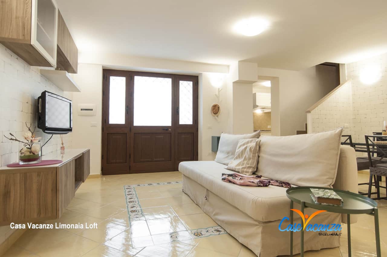 DIVANO LETTO E TV