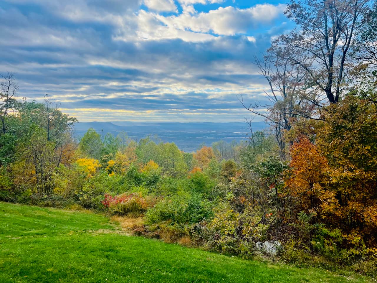 Valley Views