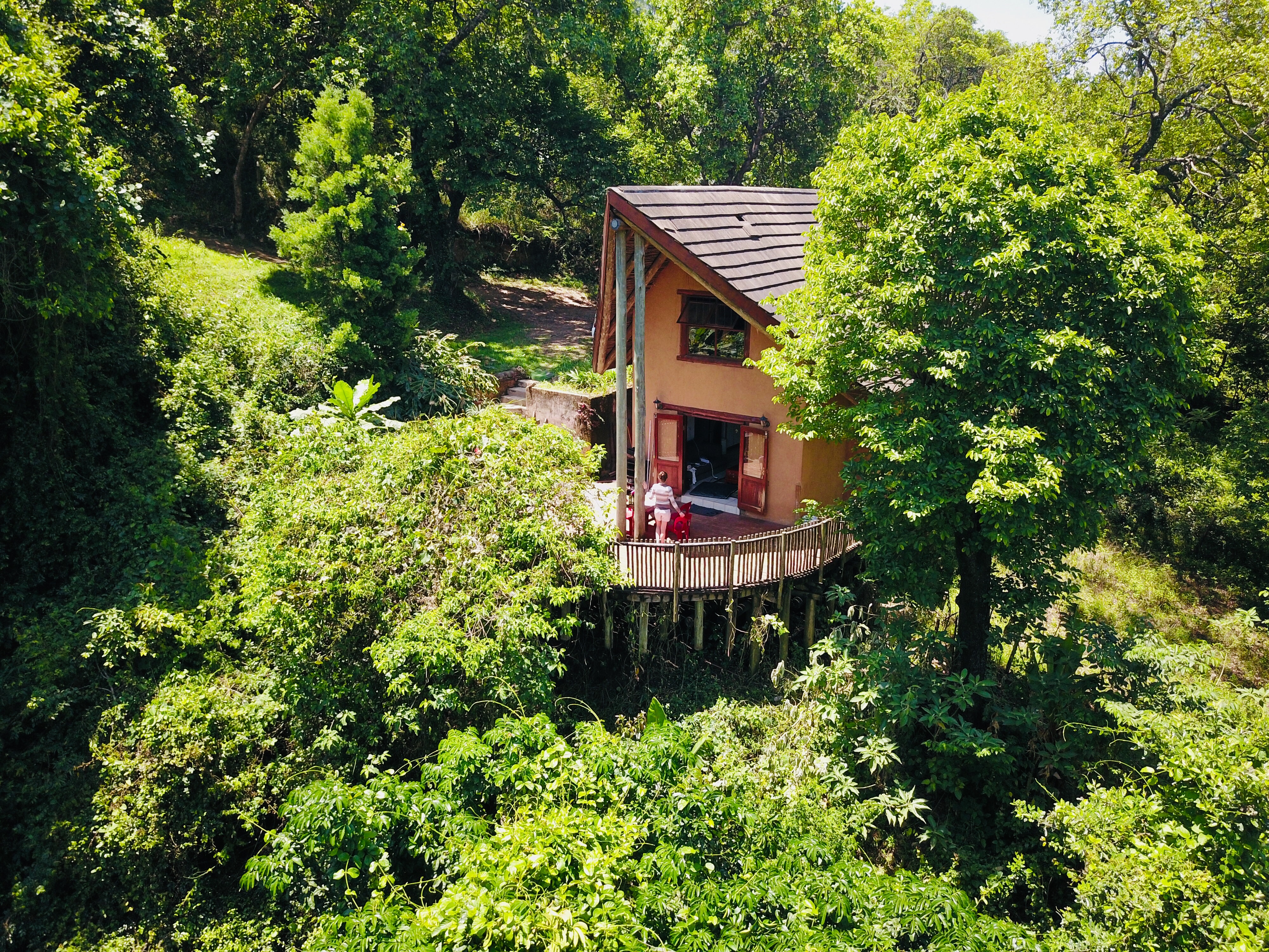 Overview