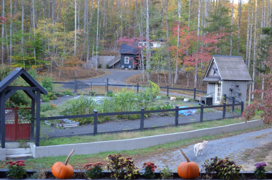 Barn Apartment Garden Fall 2025