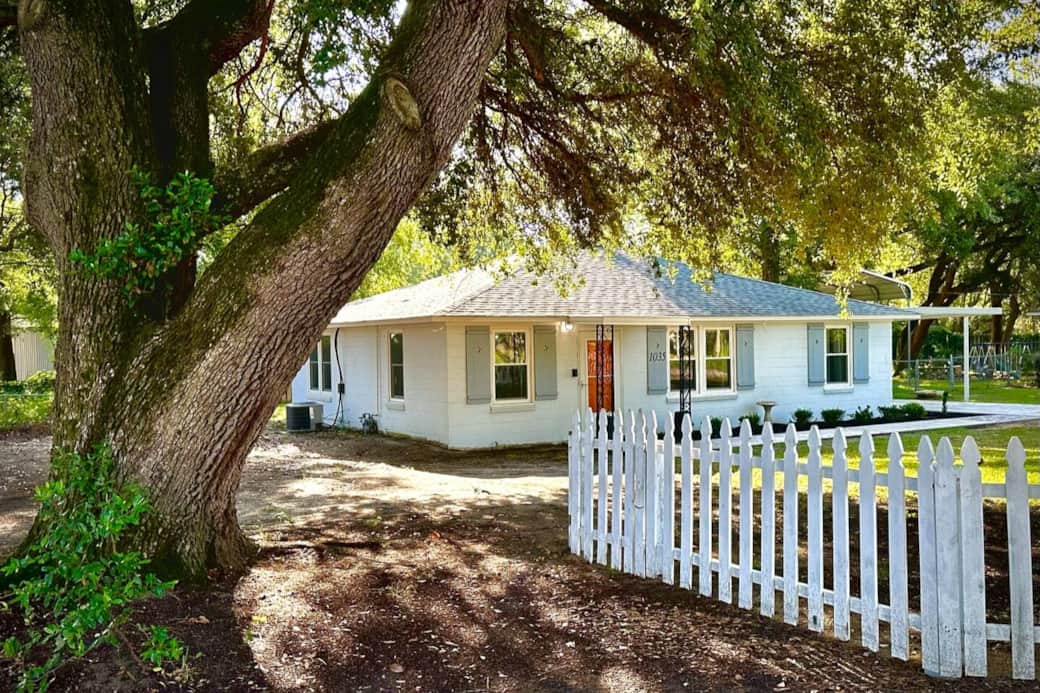 Street side with Live Oak Tree