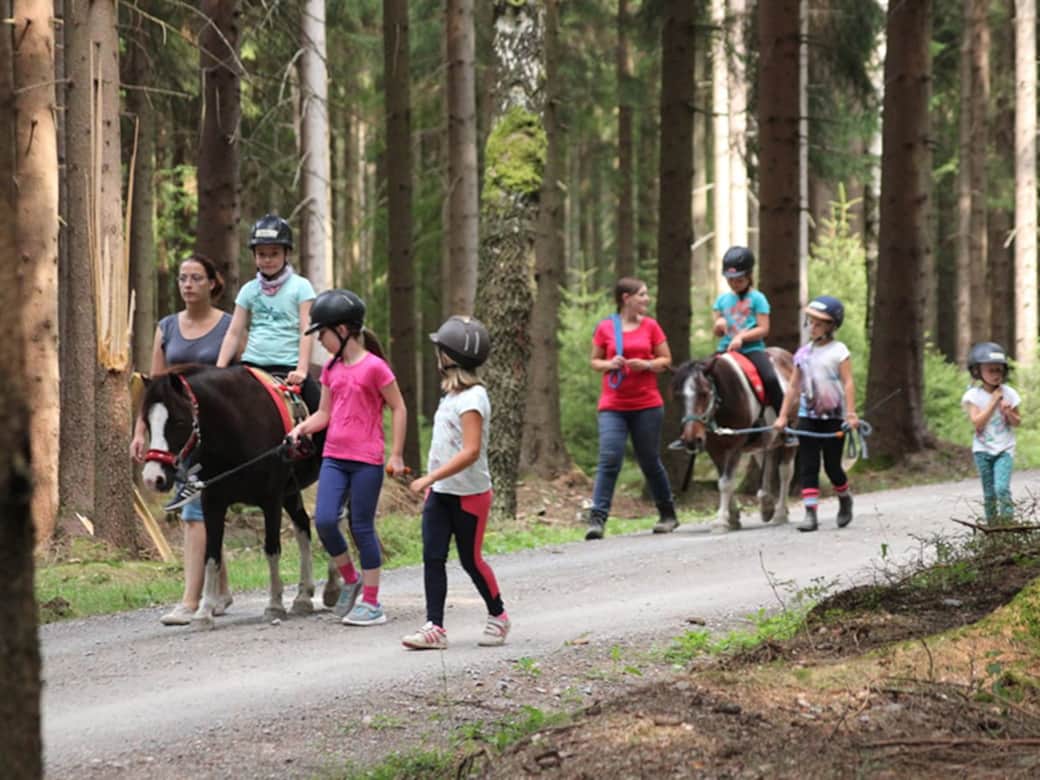 Ausreitgelände3