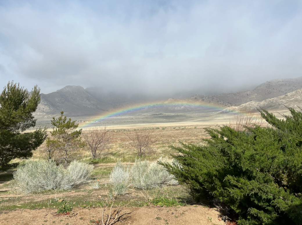 Rainbow