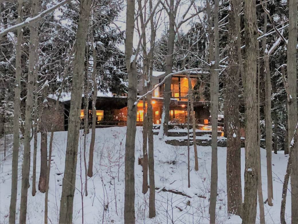 Winter view from the wetlands behind the back yard