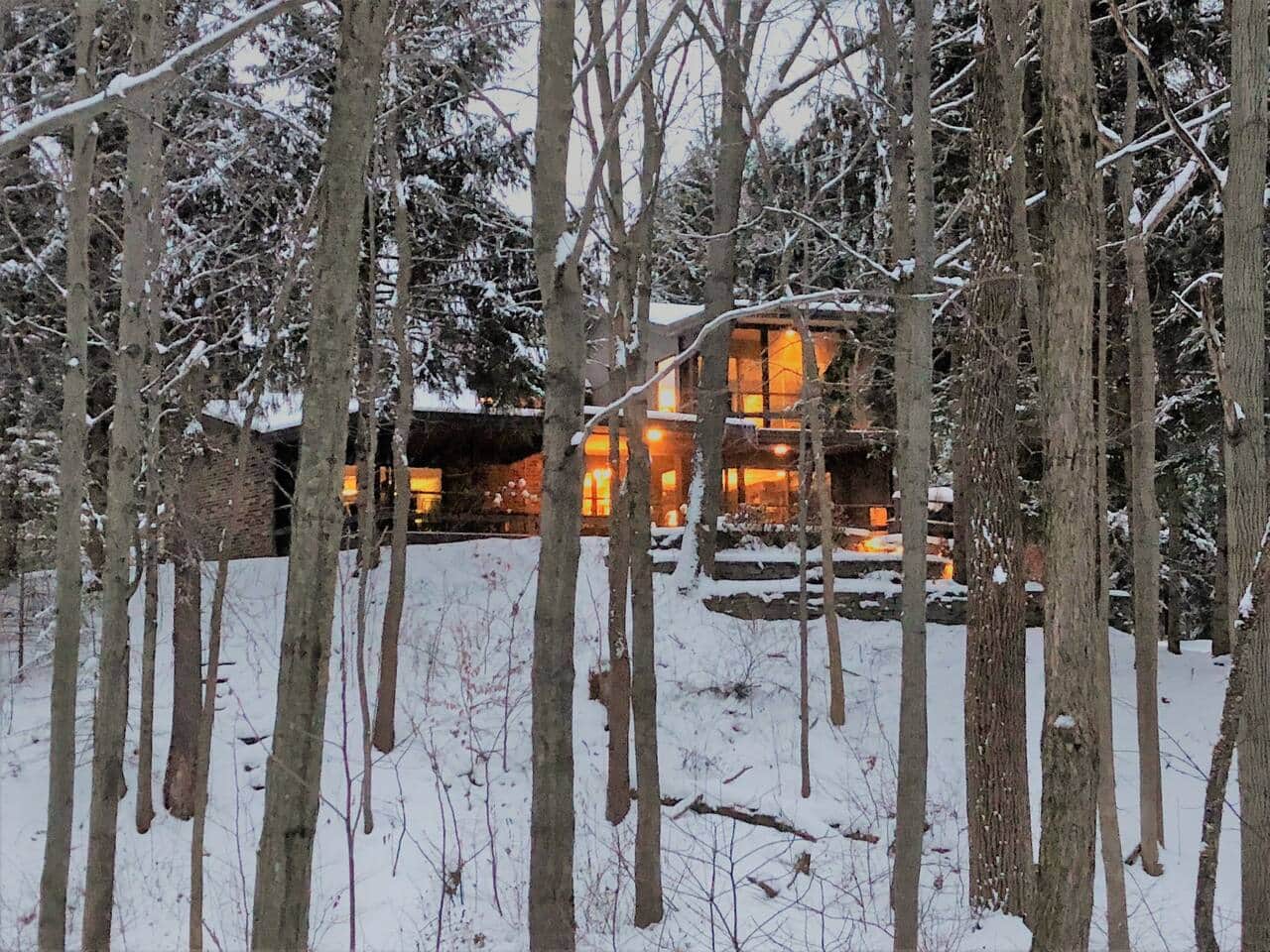 Winter view from the wetlands behind the back yard