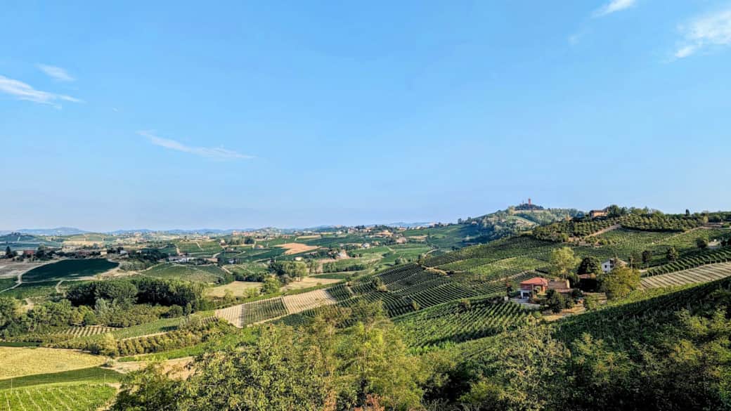 Panoramic view on the vineyards and the village of Calosso