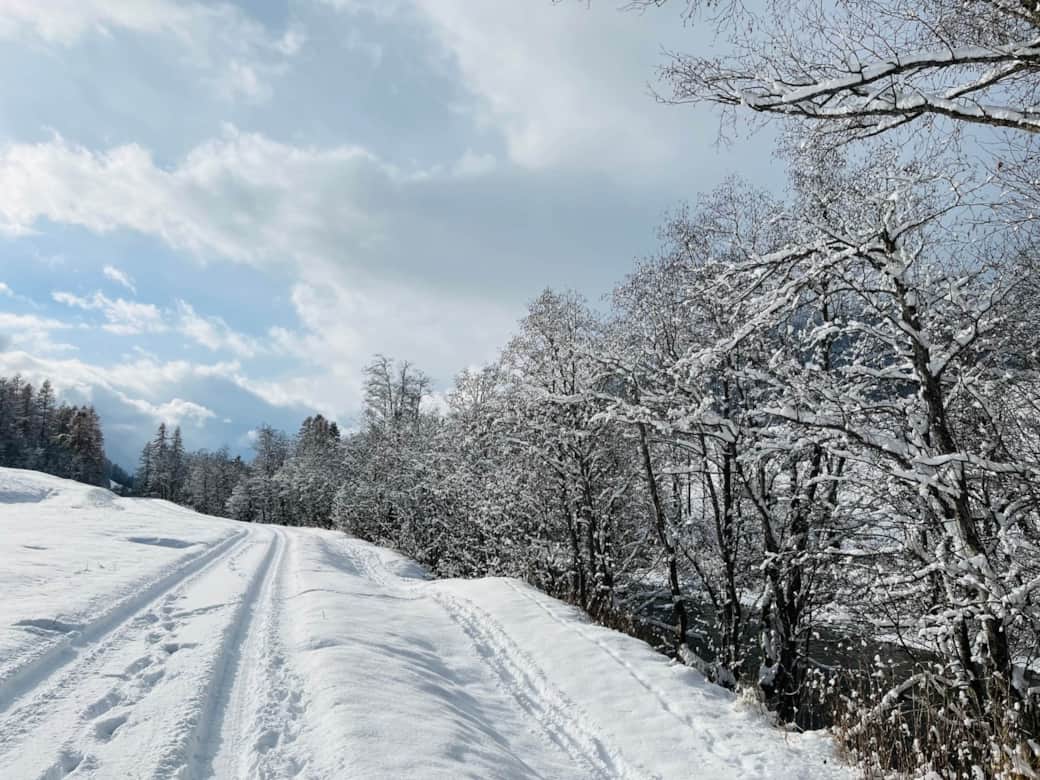 Frisch verschneit