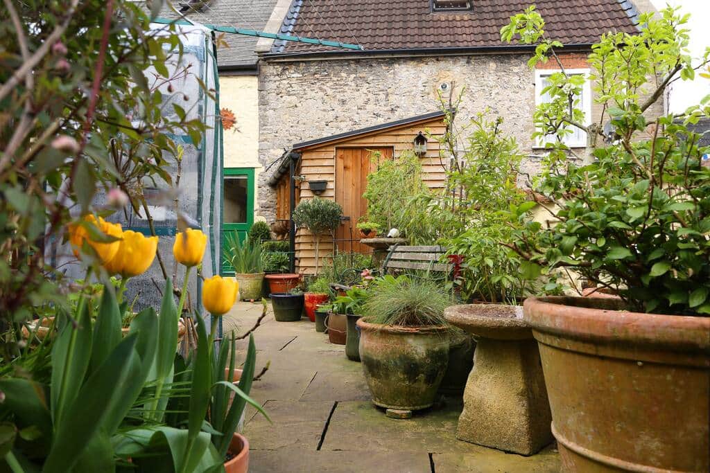 roof top garden