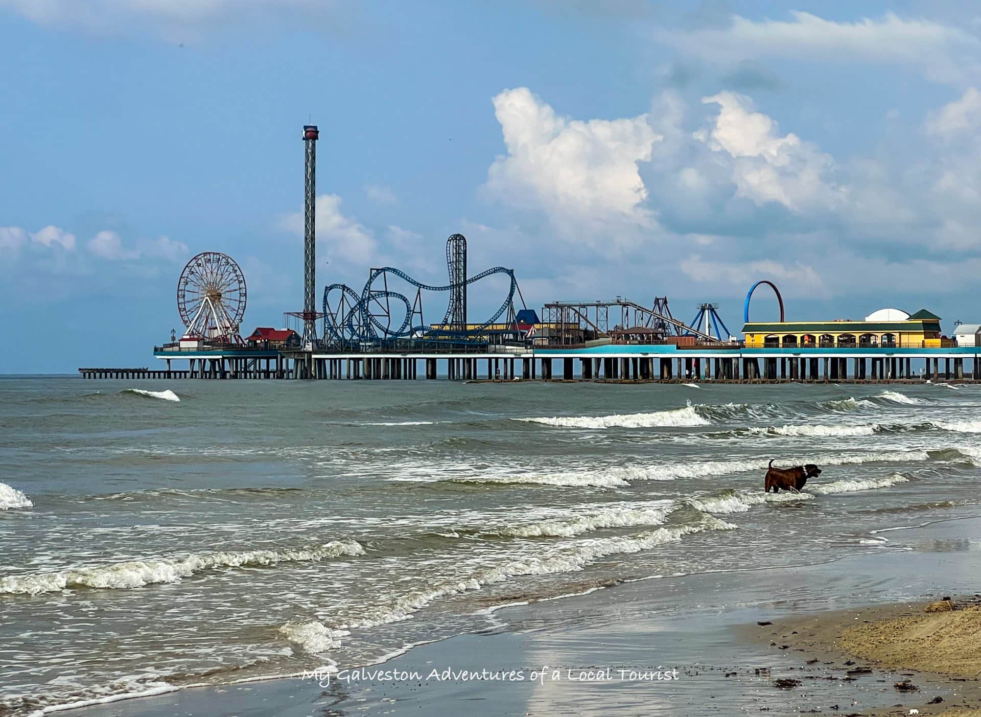 White Magnolia Galveston within walking distance to Pleasure Pier amusement park