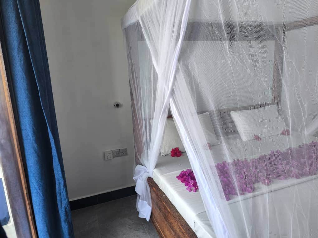 1000034337 1000034337