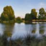 Rental image