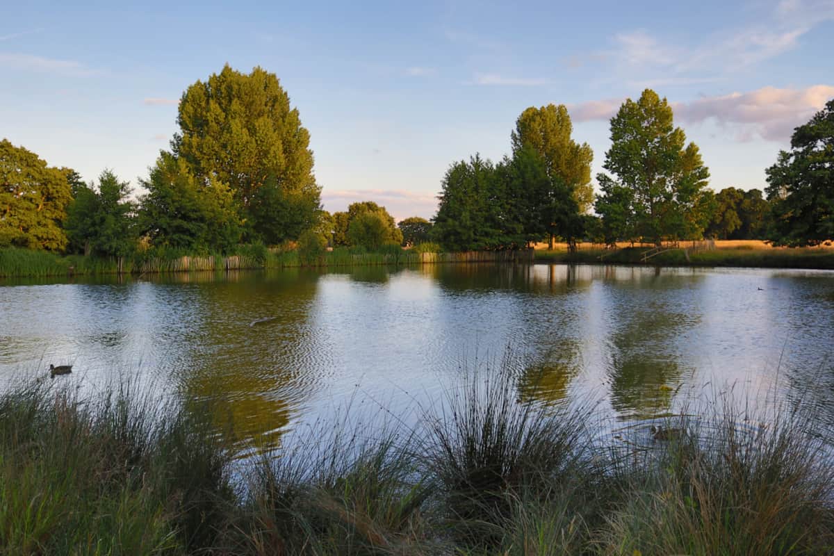 Neat, bright, and convenient