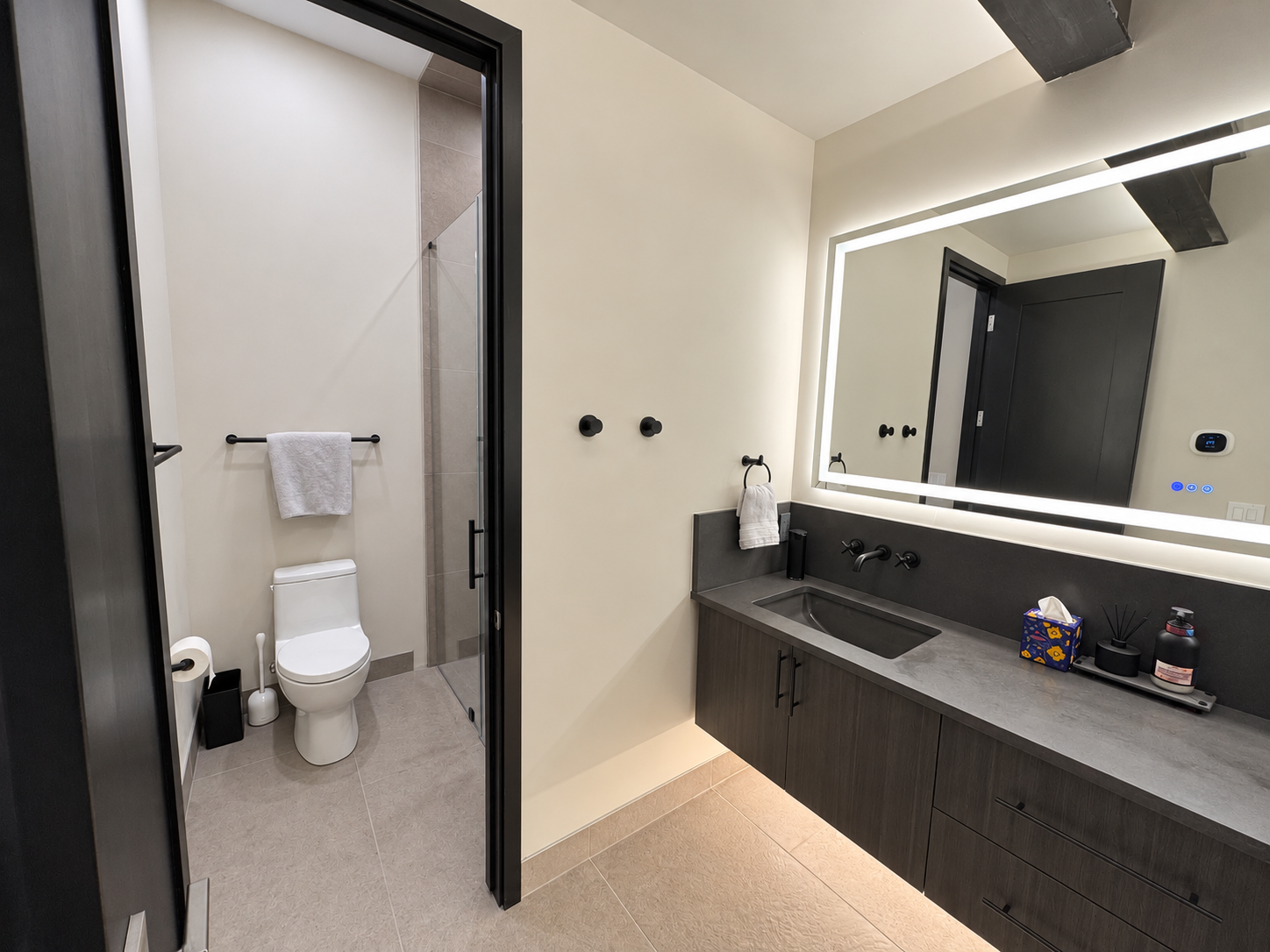 Shared bathroom vanity and shower area.