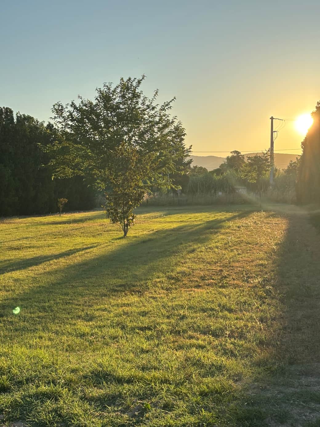 Maison poumo jardin gite vaucluse